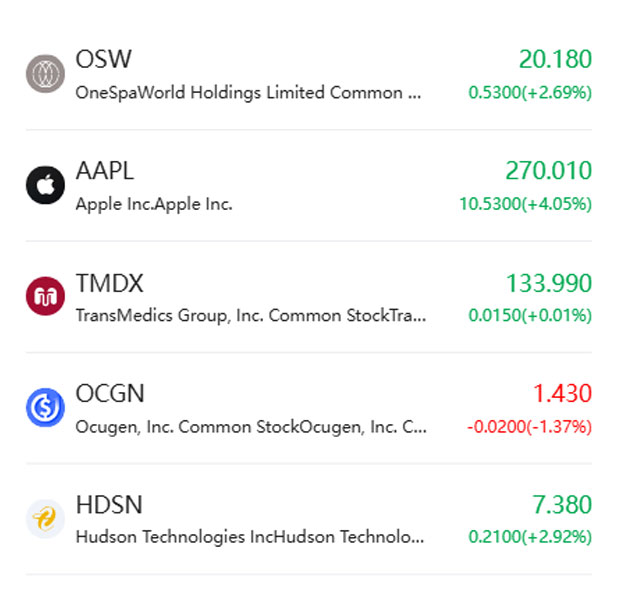 Queue Lottie Fallback